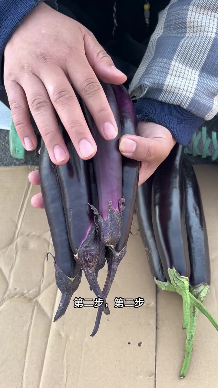 紫茄子和绿茄子的区别?