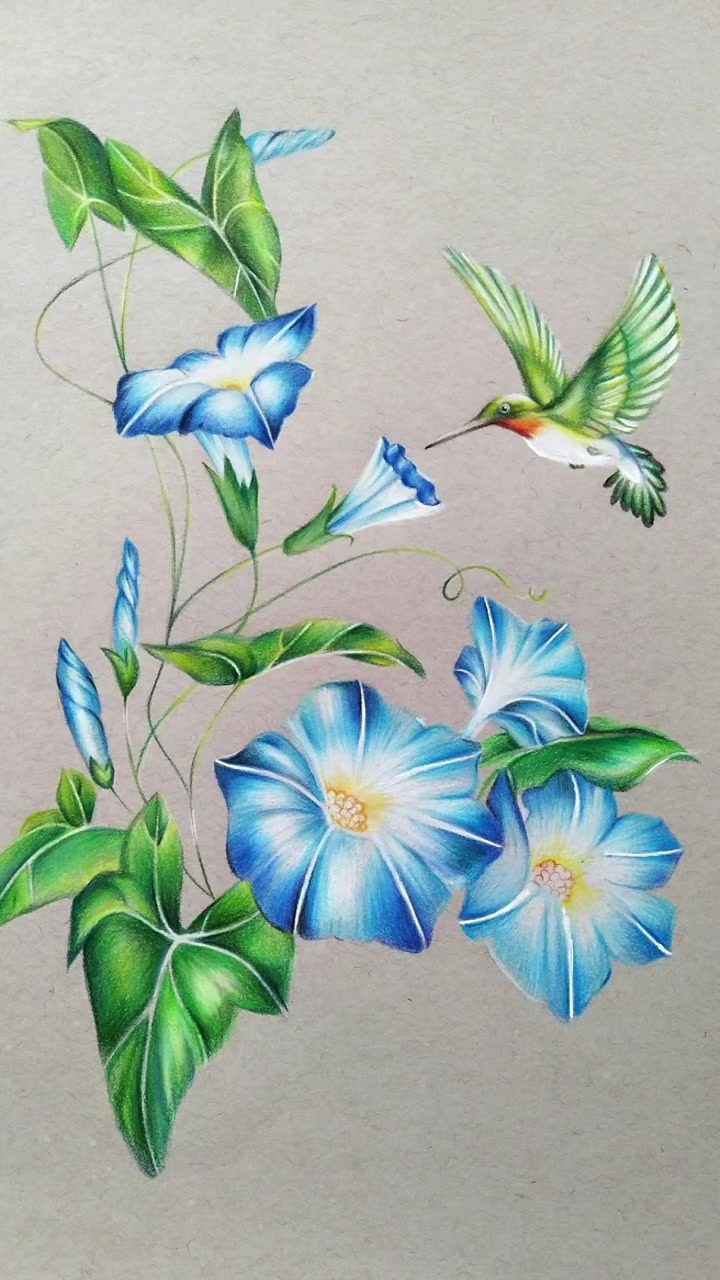 艺术 整理了一小波很久之前画的彩铅手绘 彩铅