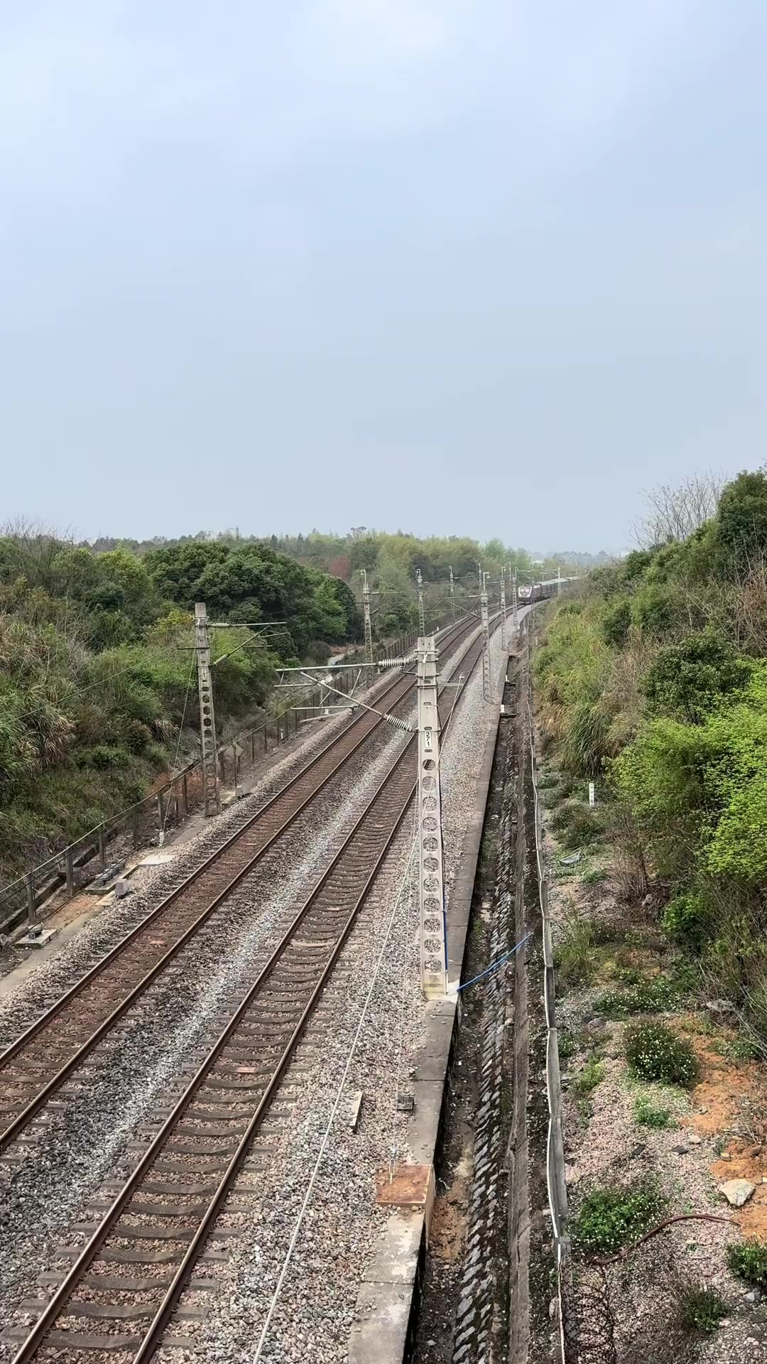 飞驰在京广线上的绿皮火车,沿途最美的风景