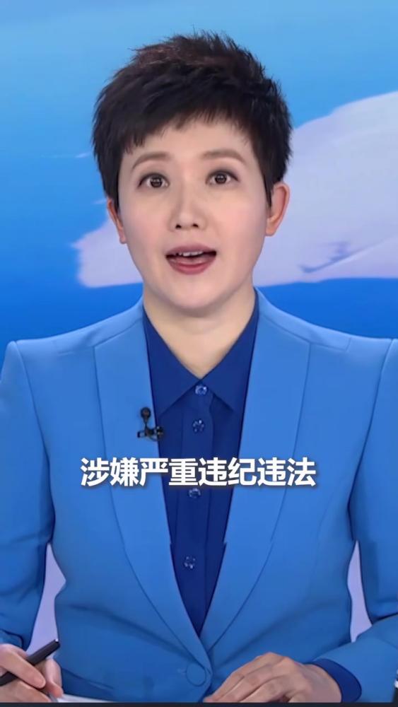 四川省政府党组成员、副省长、省公安厅厅长叶寒冰涉嫌严重违纪违法，目前正接受中央纪委国家监委纪律审查和监察调查,,,好看视频