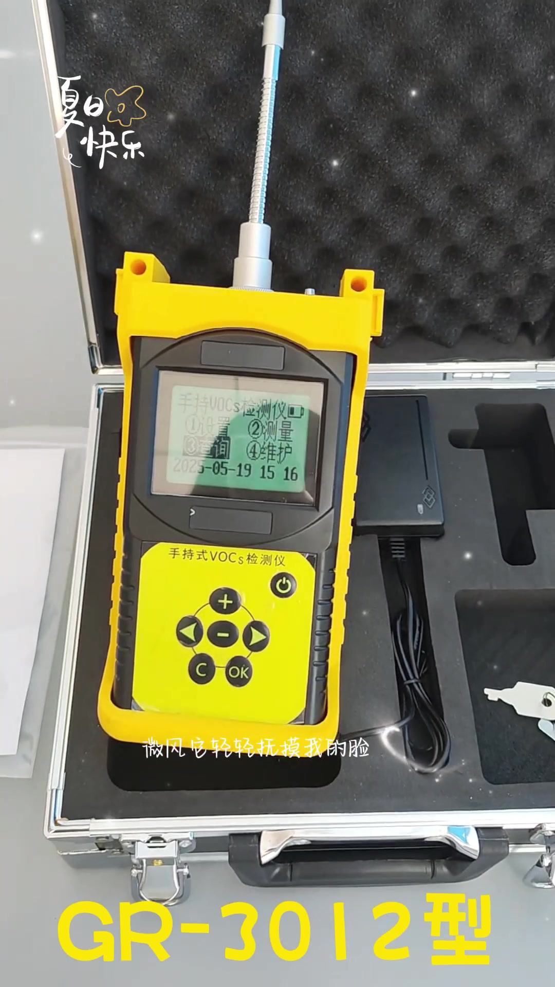 gr-3012型手持式vocs检测仪