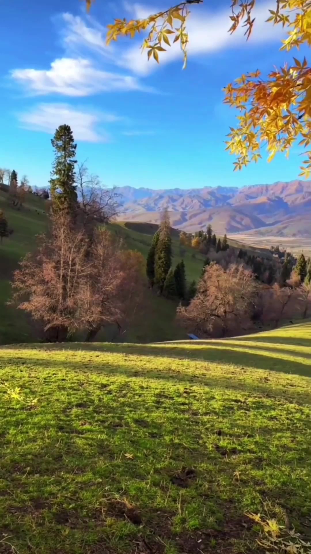 端午游玩,那拉提的秋有多美,旅游推荐