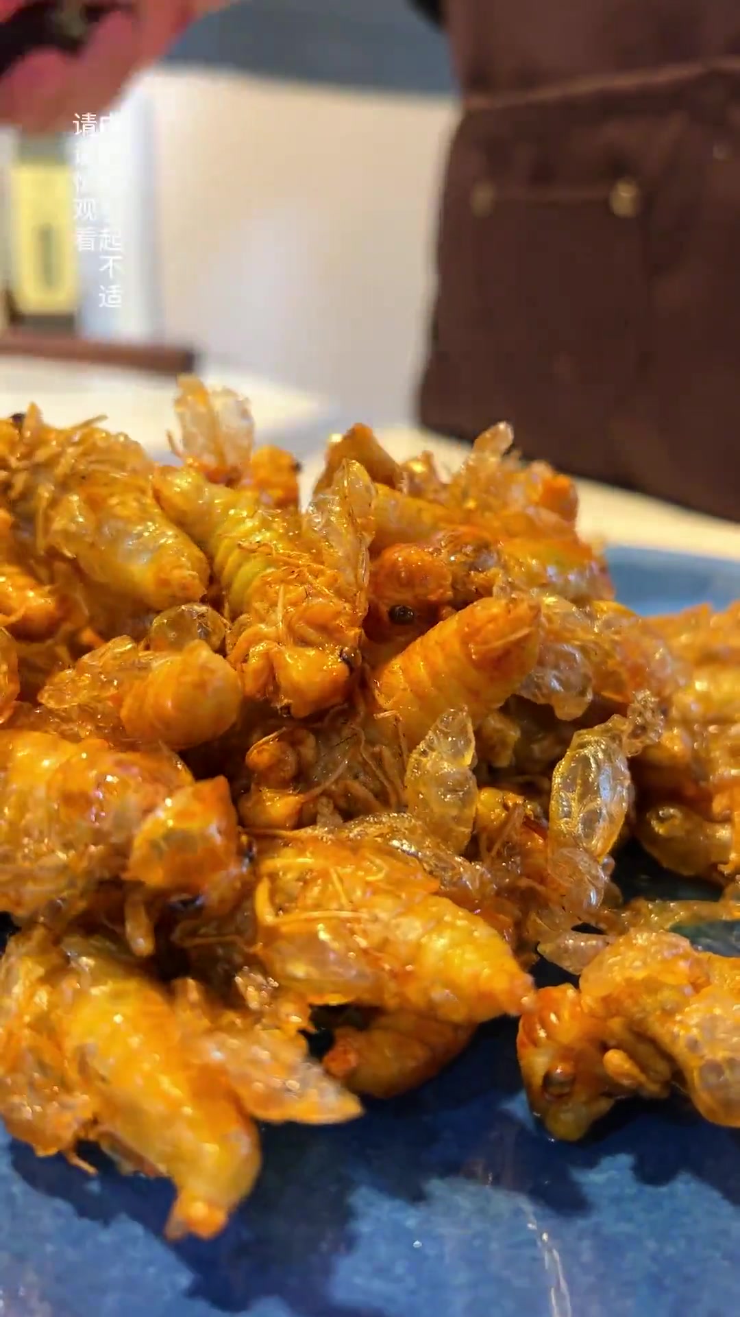 村子后山夏夜捉蝉乐,"山有木兮",椒盐金蝉吃否?