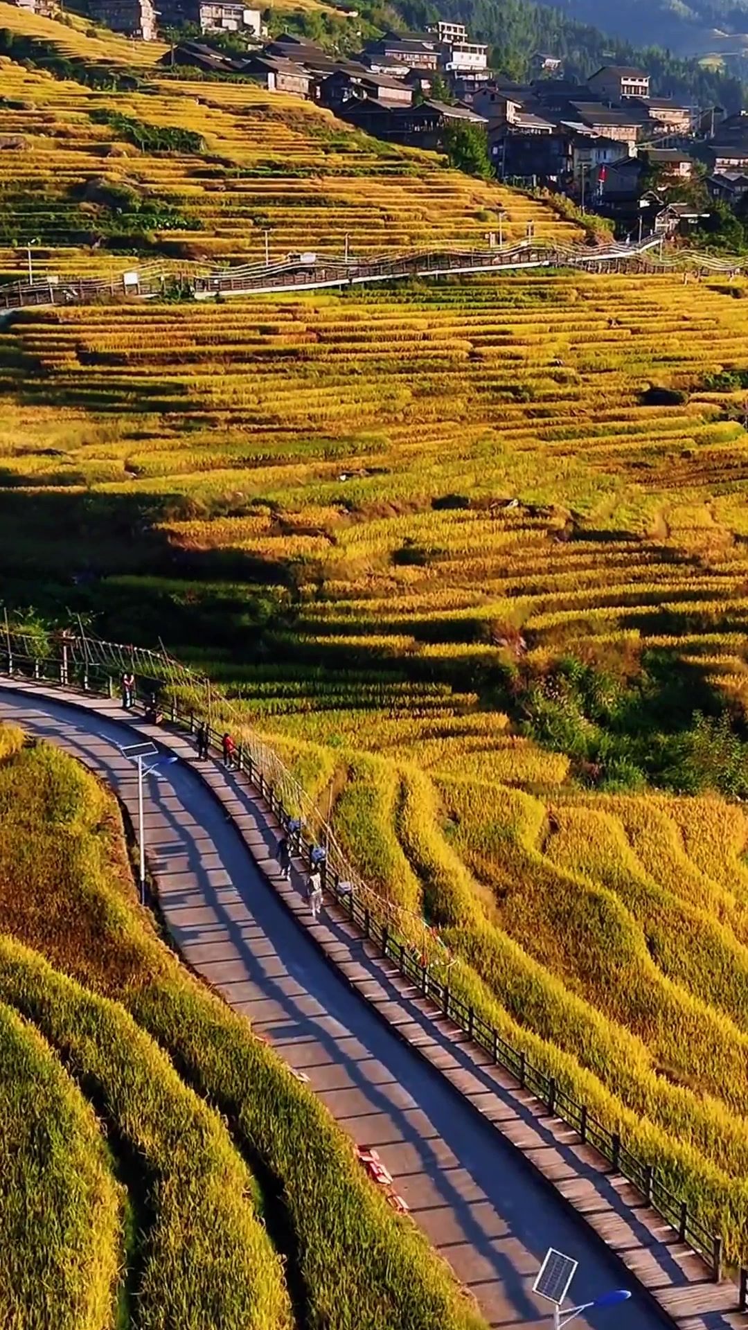 端午旅行,桂林龙脊梯田景区位于桂林龙胜县东南部和平乡境内的龙