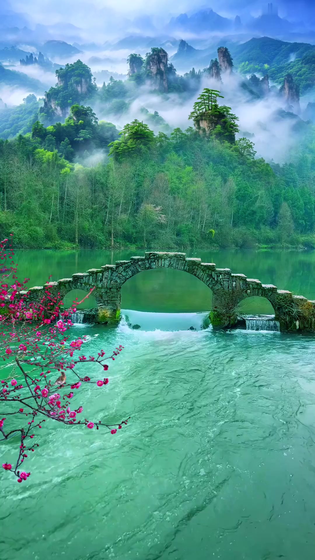 夏日旅行,看山心静,看水心宽,何以解忧,唯有山水,小桥流水