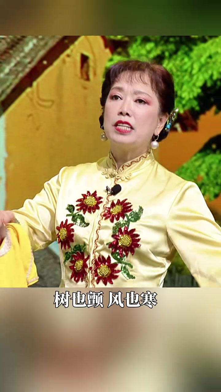 韩子平,董玮,二人转经典剧目,离婚夫妻故事