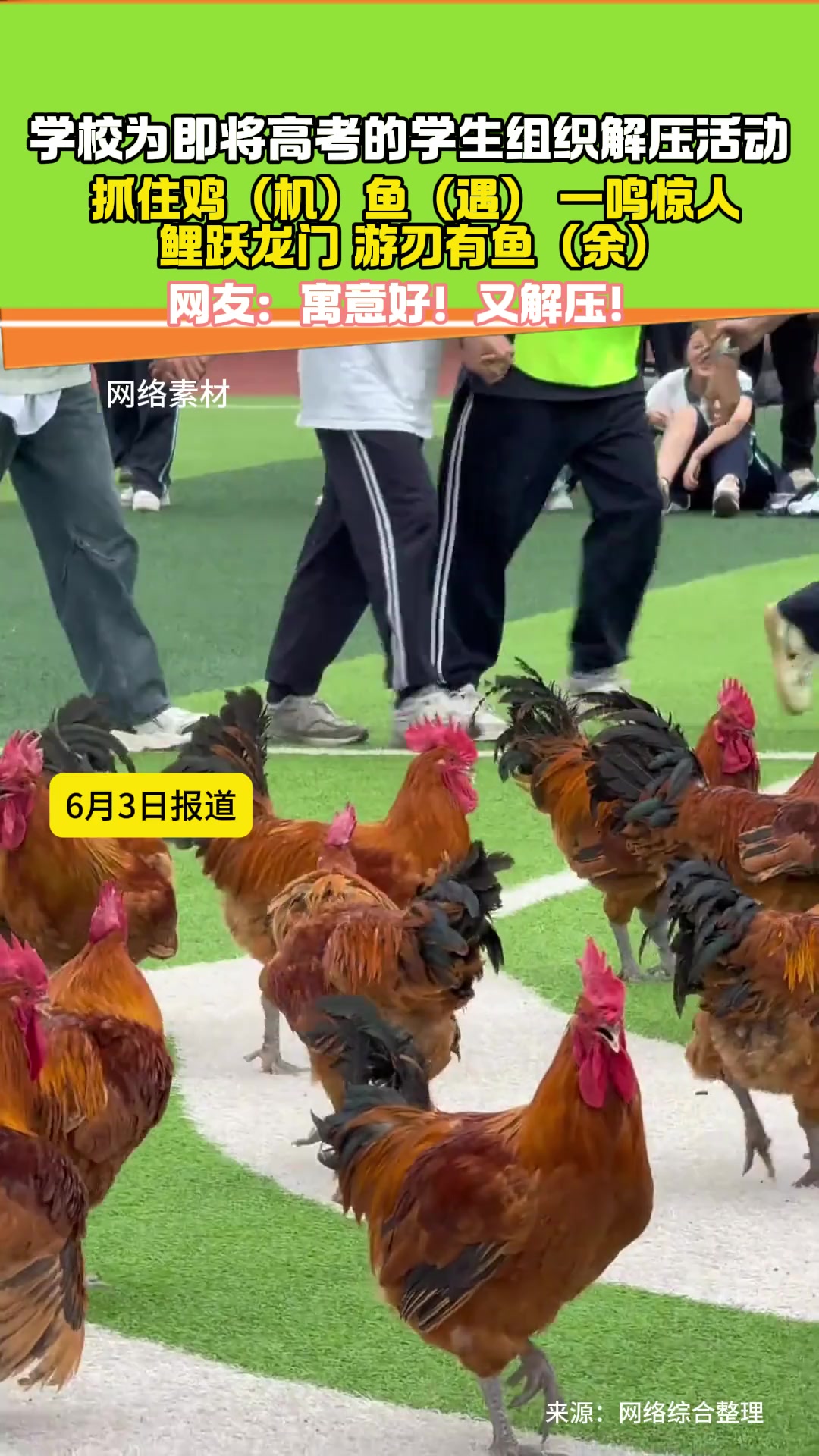 学校为即将高考的学生组织抓鸡抓鱼活动,寓意好!又解压!