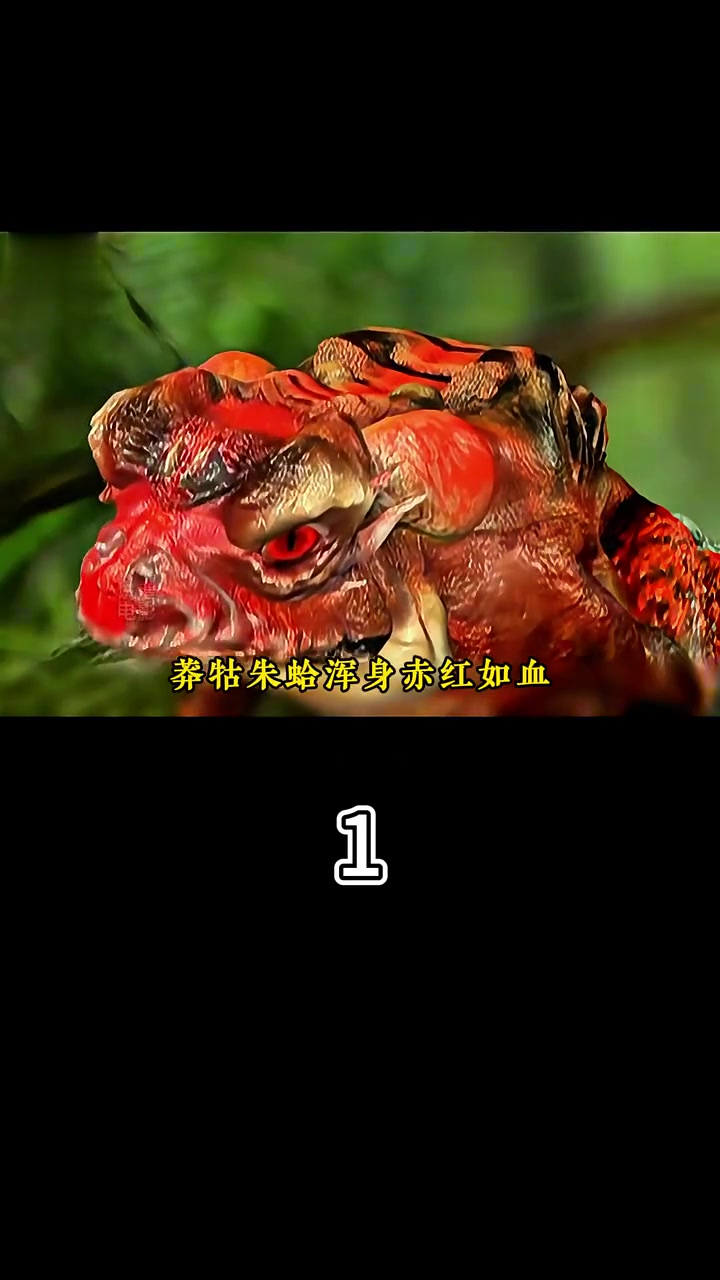 段誉吞下莽牯朱蛤,百毒不侵