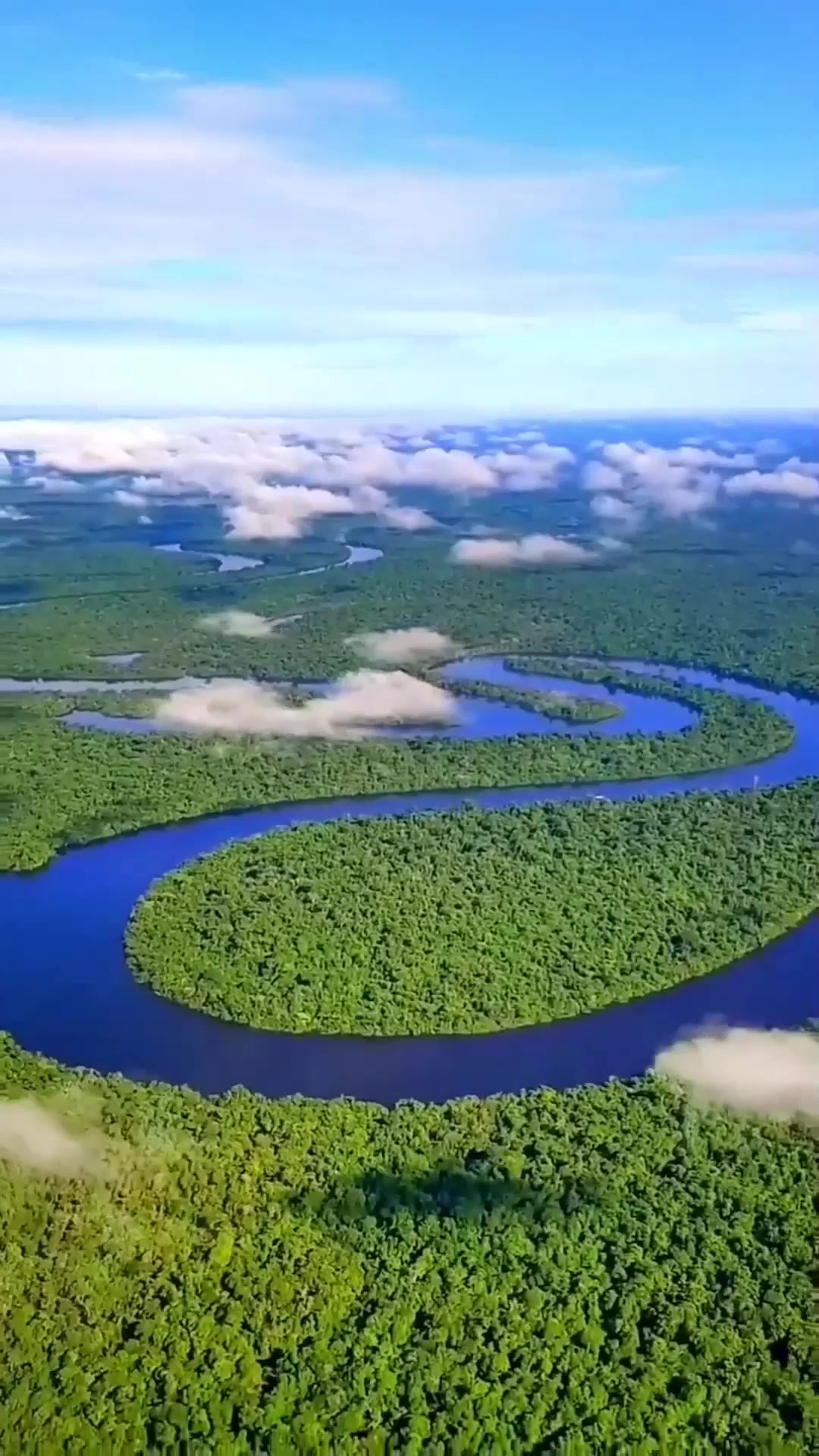 夏日旅游,这就是地理课本上的《亚马孙平原》,它是全世界最大的