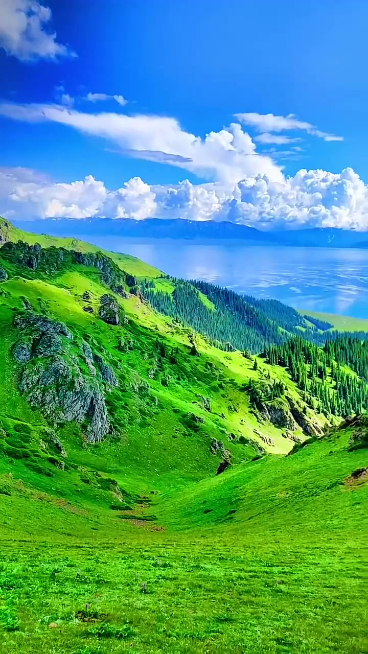 海角社区入口现已全新上线，海量优质内容持续更新，多端适配体验全面升级，即刻点击获取最新资讯