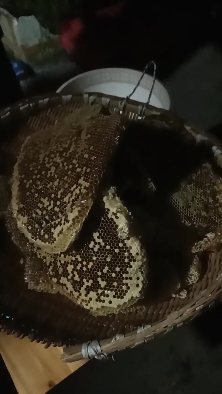 自己家养的蜂蜜(自己家养的蜂蜜有激素吗)