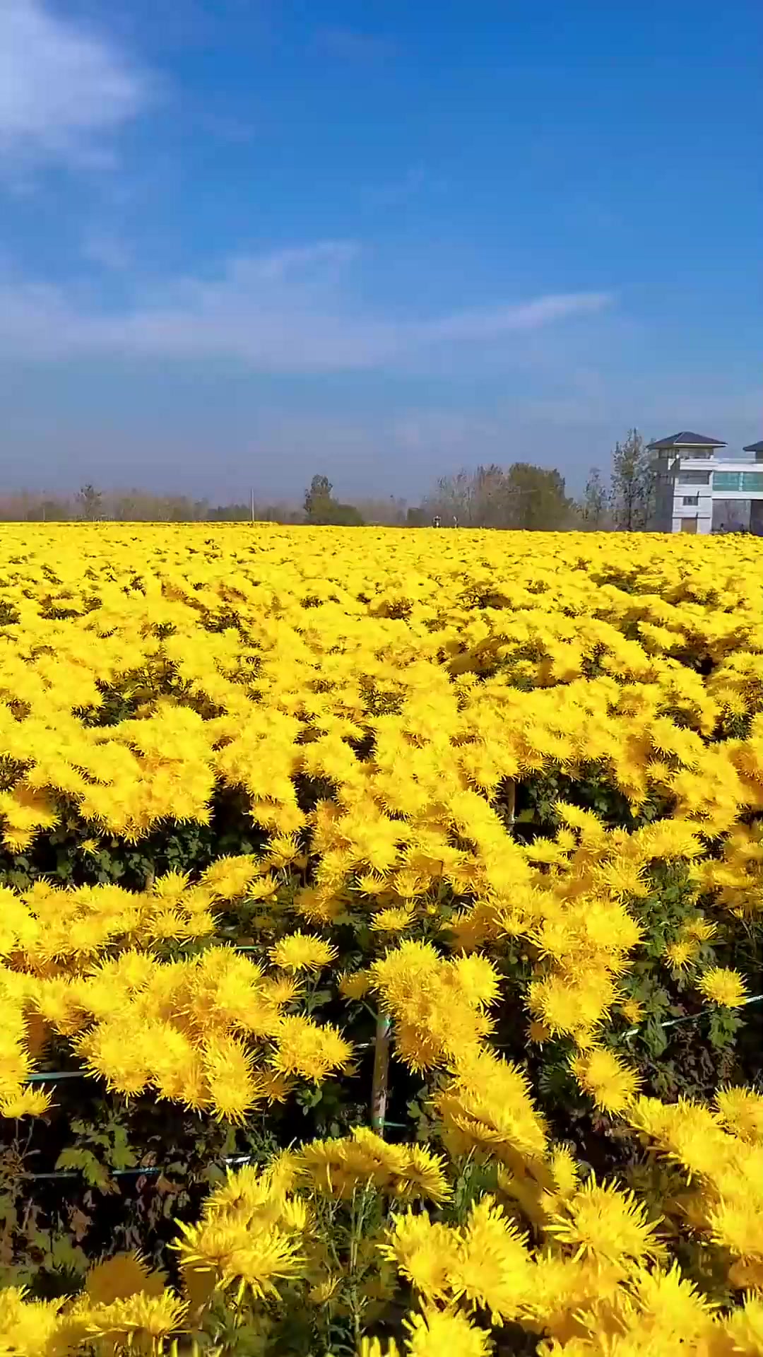 1080_1920竖版 竖屏gif 动态图 动图