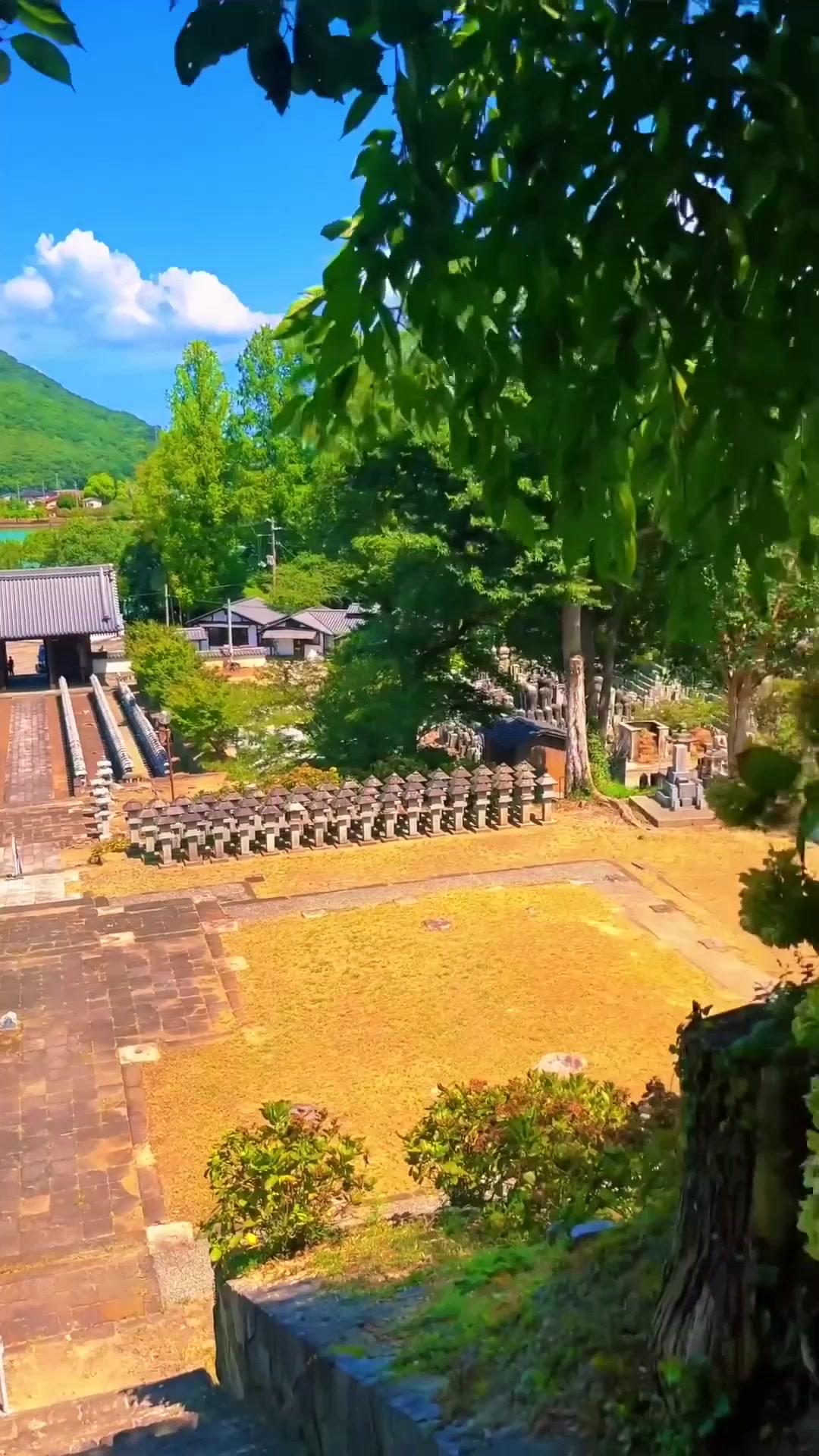 夏日旅行,位于香川县高松市的净土宗寺院.山号是佛生山.称为佛