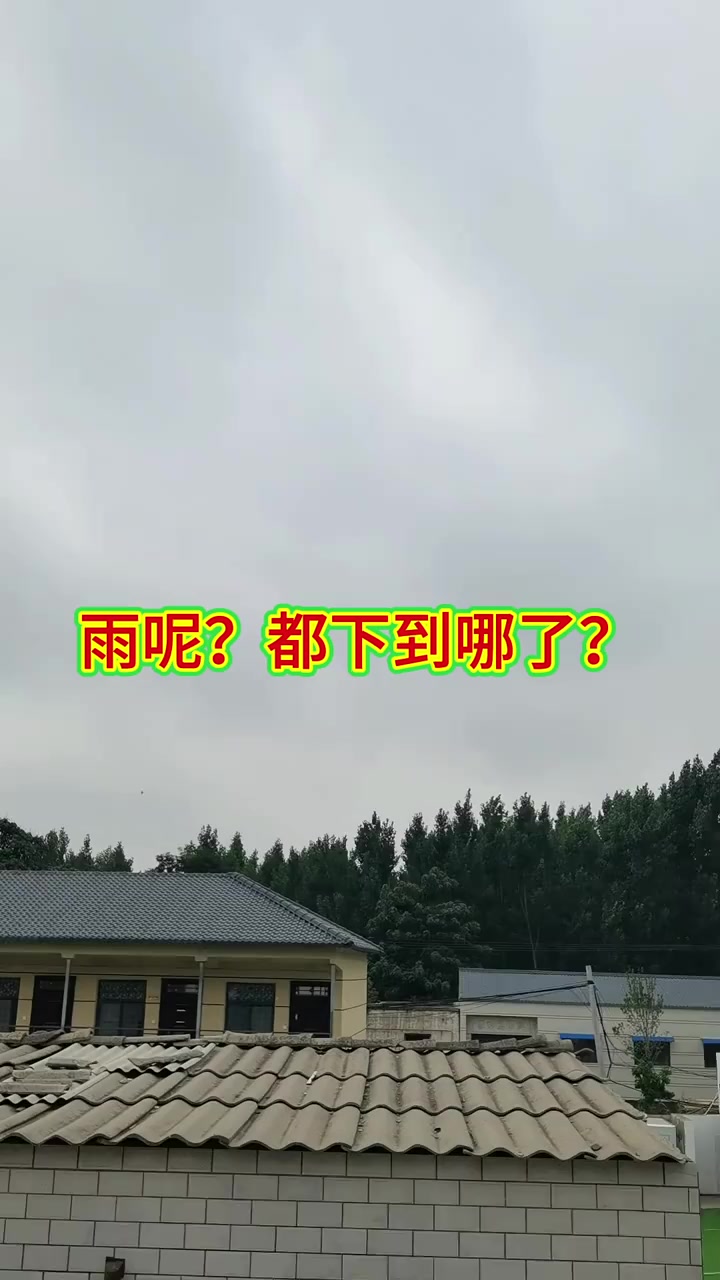 今年为什么这么多雨