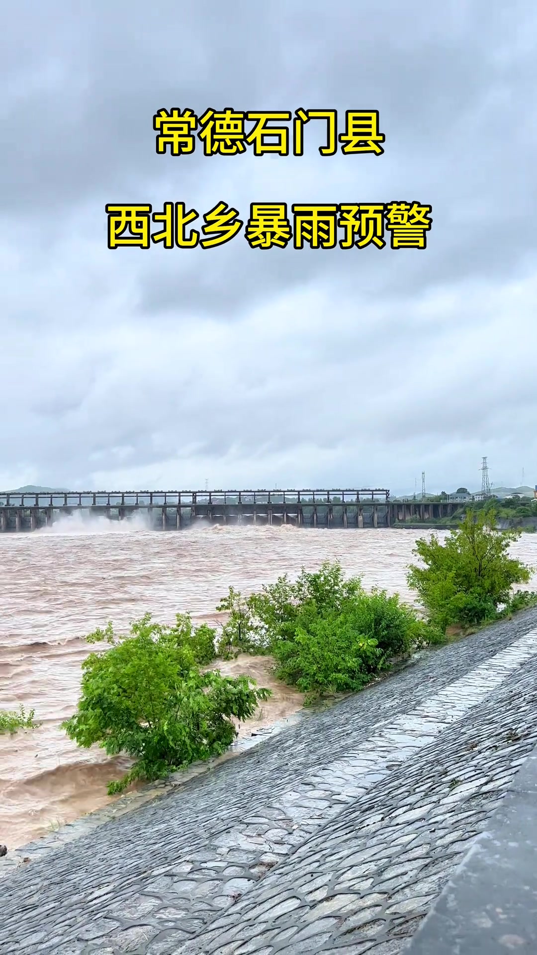 西乡天气天气大全