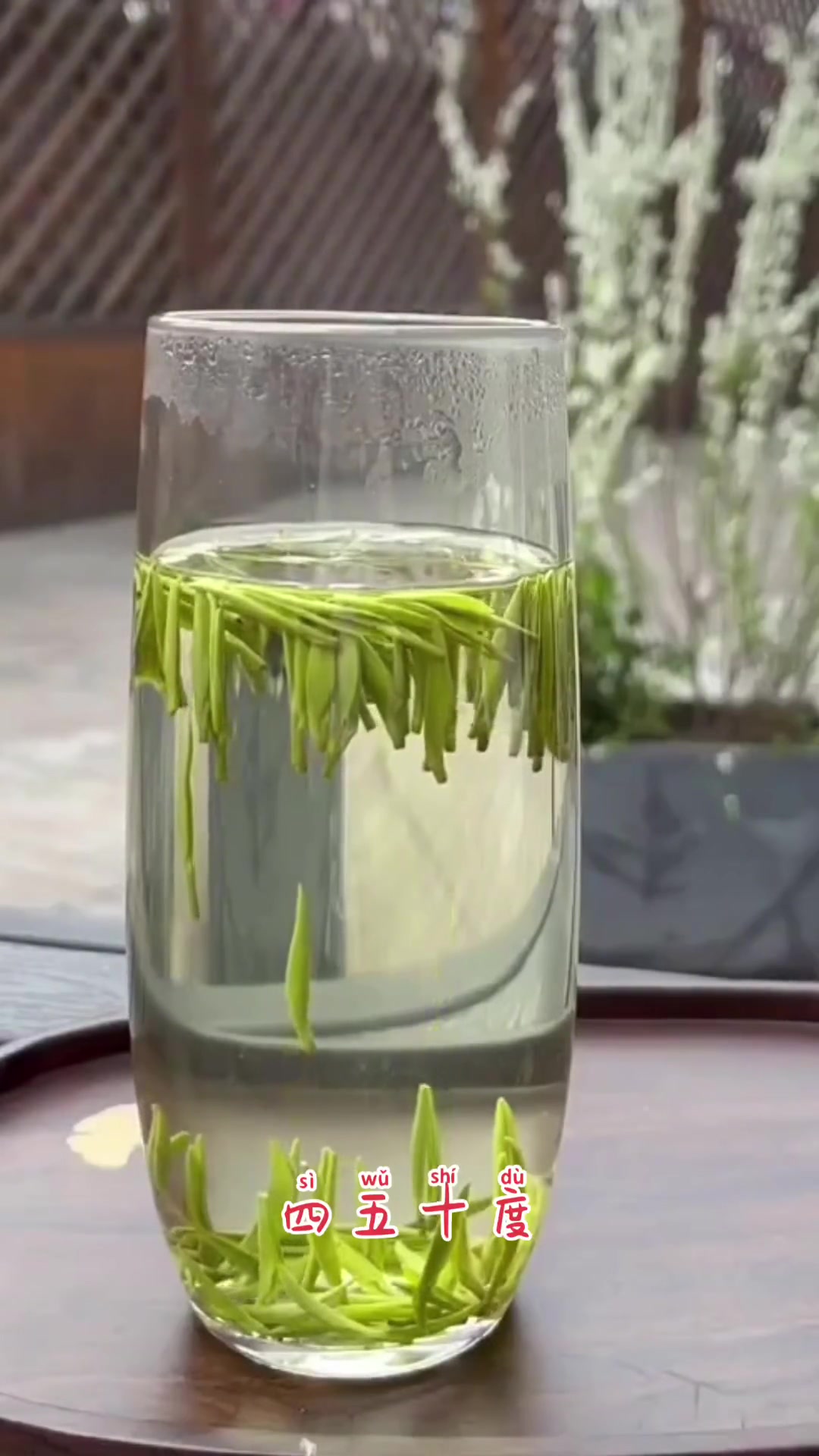开水泡绿茶是新手?正常喝茶温度你知道吗
