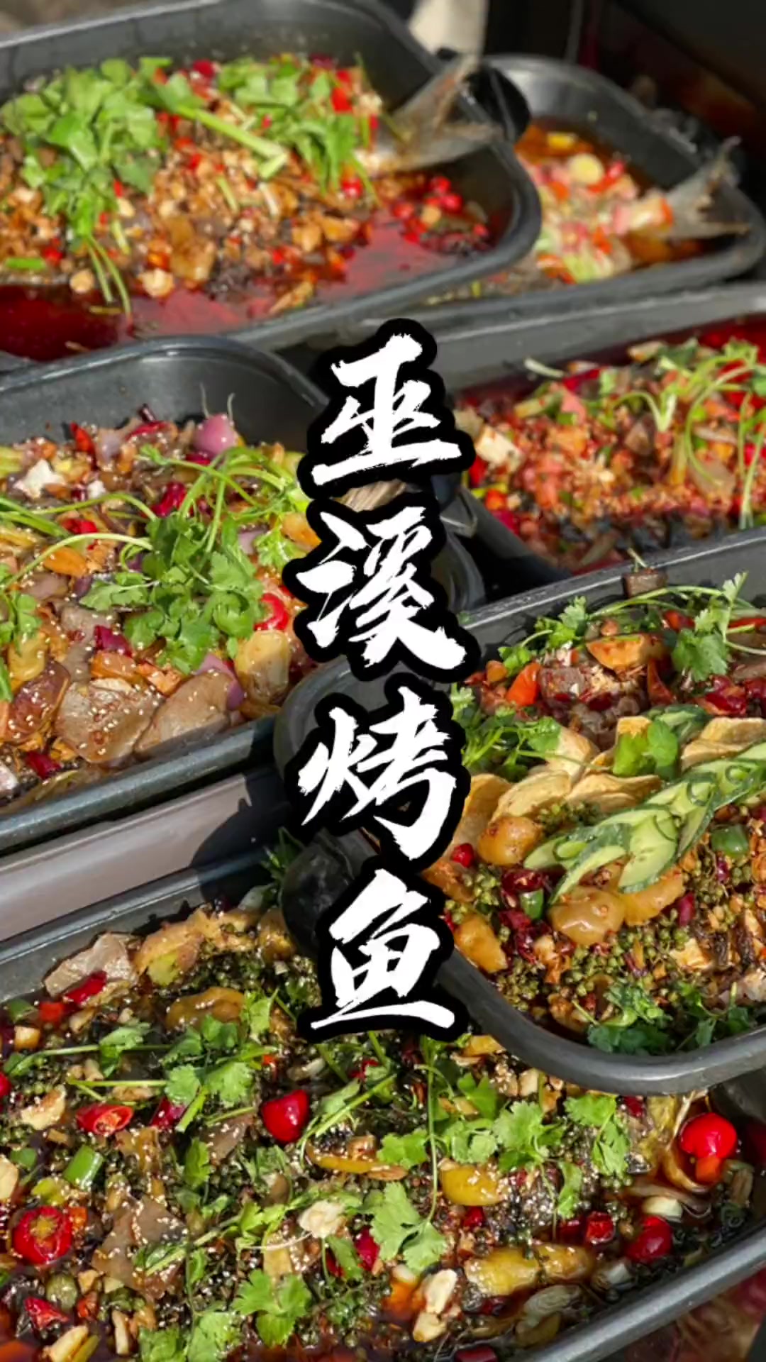 巫溪烤鱼你最爱哪一家?
