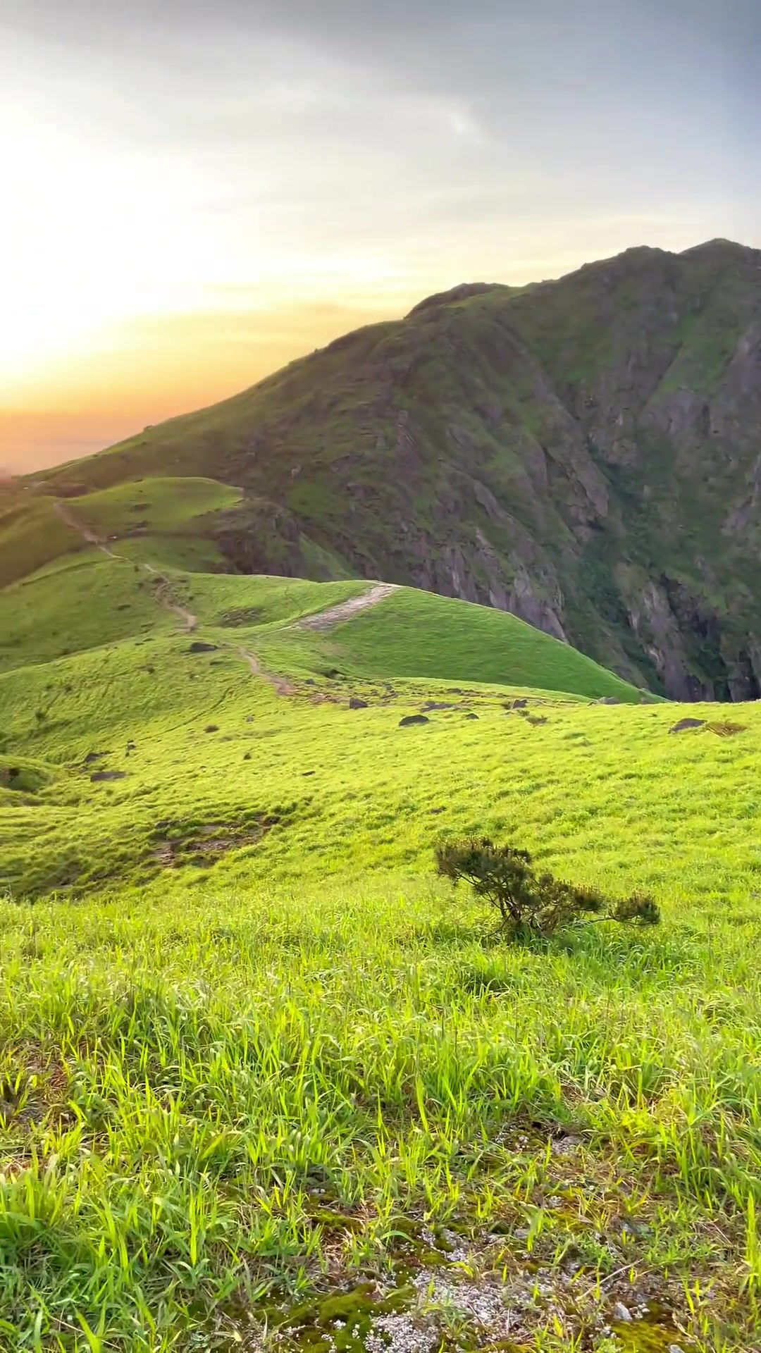 江西赣州齐云山大草原,家门口的草原风光,如诗如画