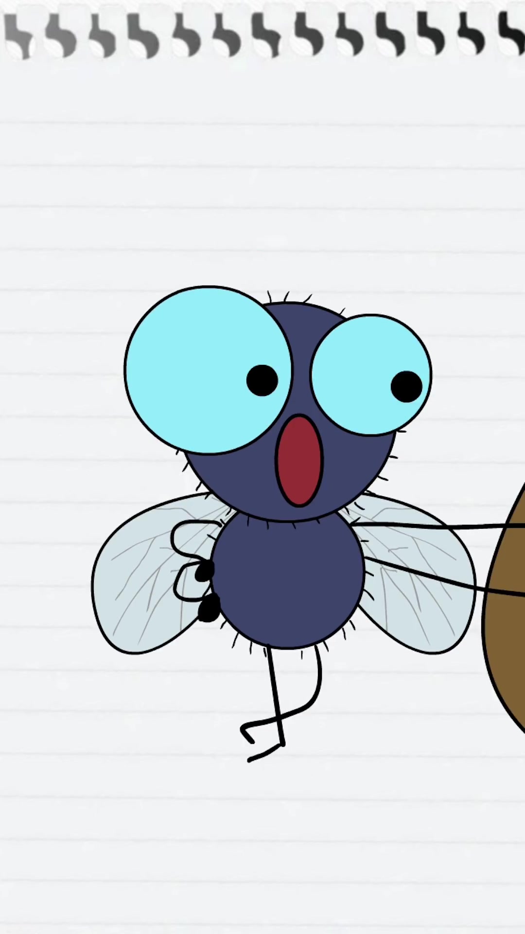 苍蝇为何爱搓手?