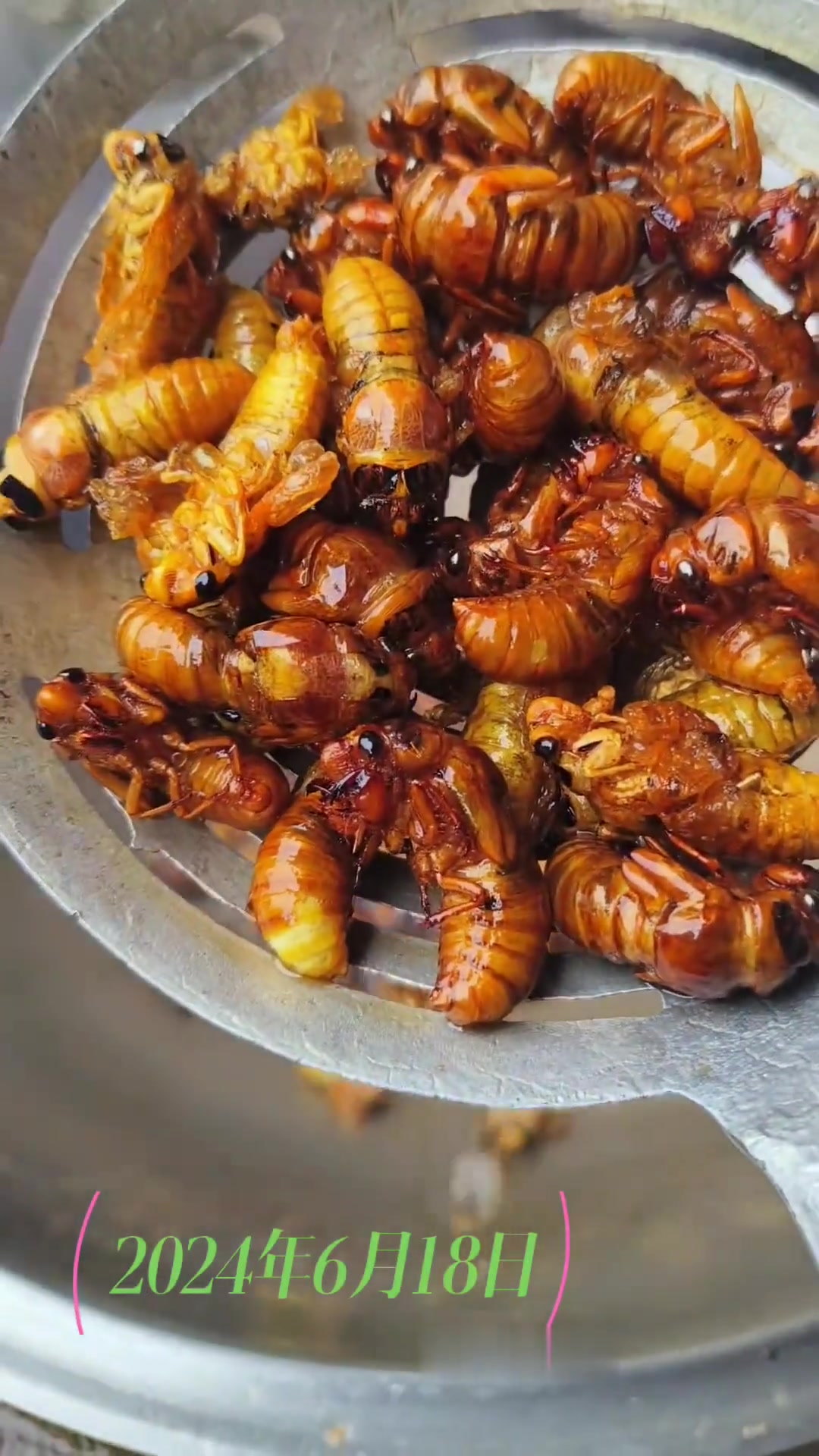 回忆母亲最爱吃的美食油炸金蝉