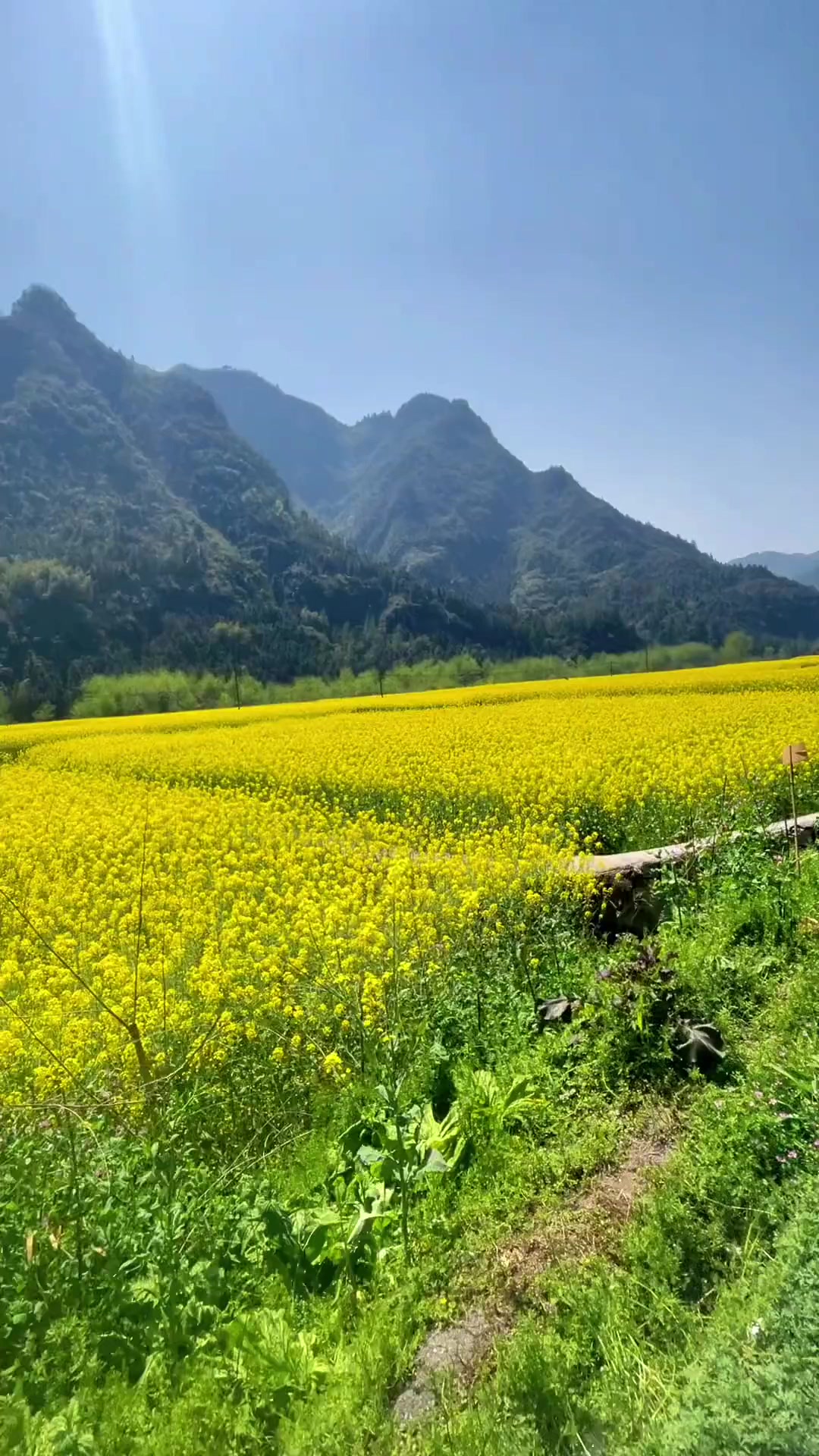 夏日旅游,村里的风景,平淡耐看,也许老家不便利,却最温暖治愈