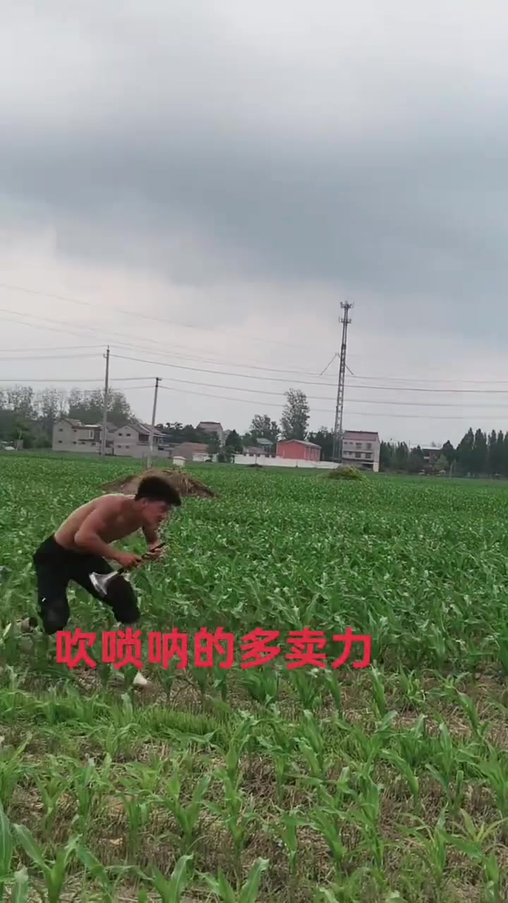 河南小伙这唢呐吹的真卖力