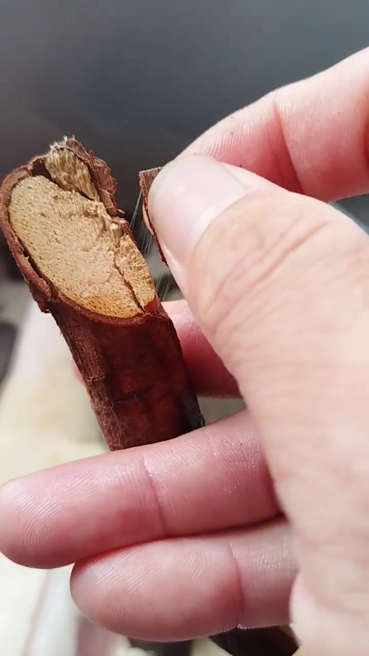 野生红头花杜仲煲猪尾,吃了床板有得断