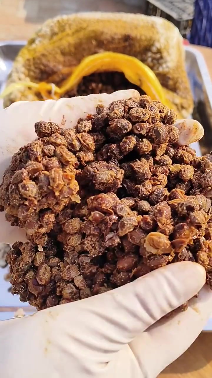 豆粒酱块自发酵