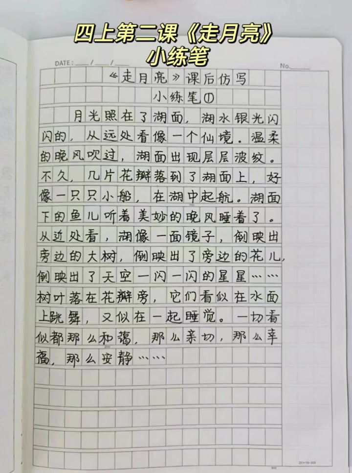 四年级上册语文第二课 走月亮 课后仿写小练笔