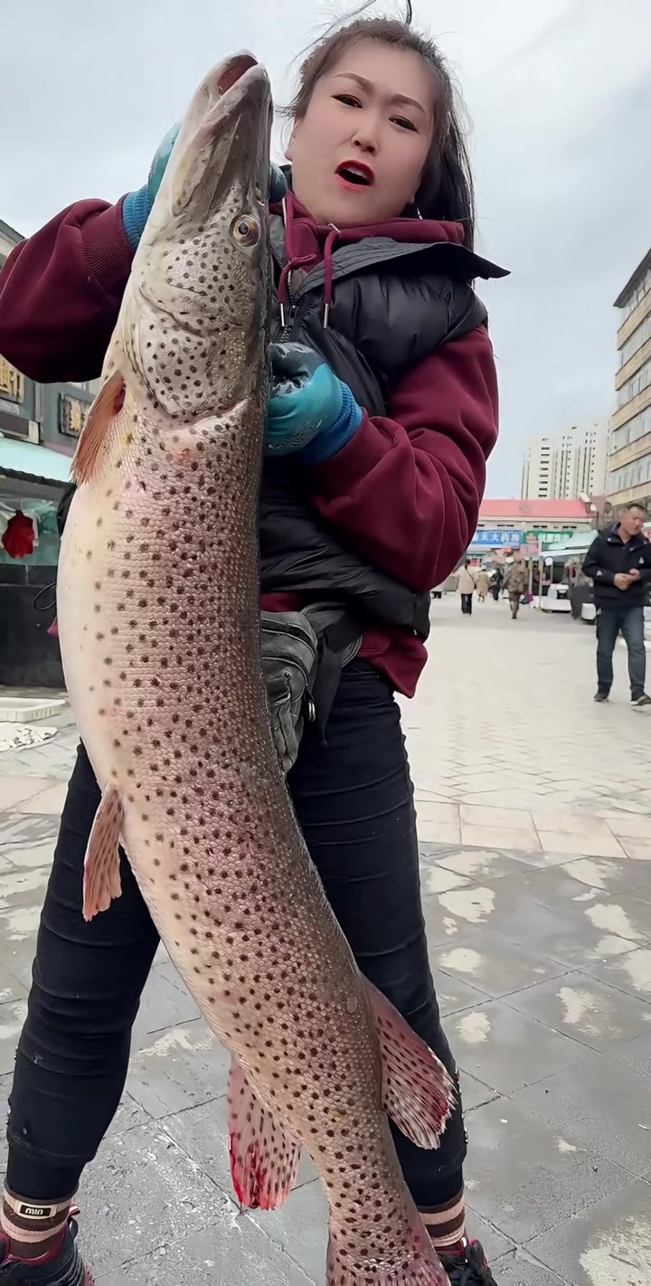35斤野生黑斑狗鱼