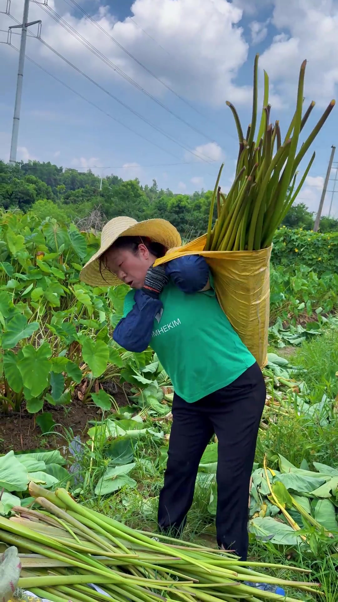 腌制芋荷子超开胃