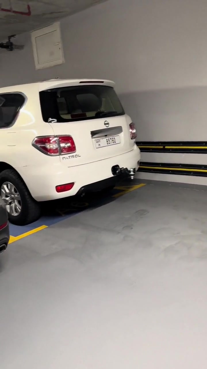 迪拜经济停车场都有什么车