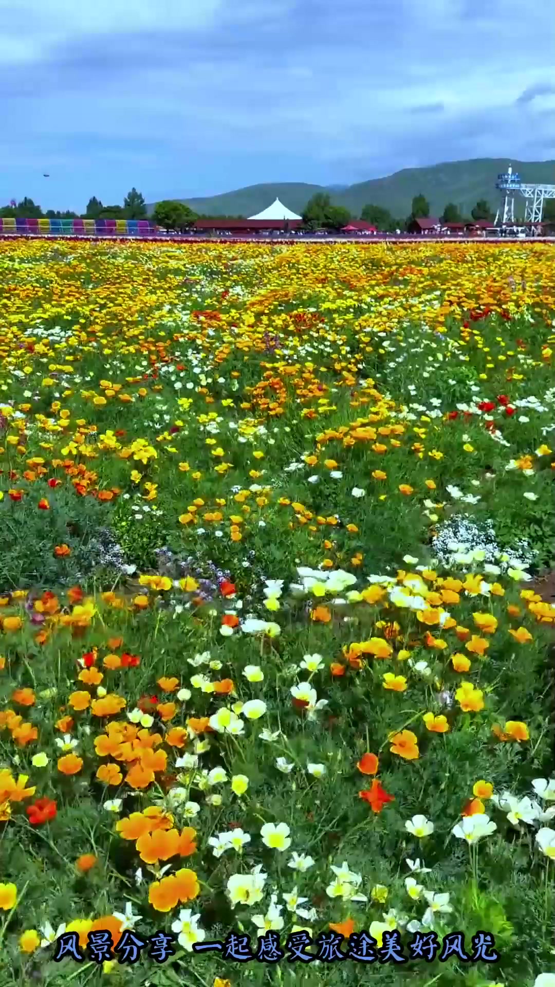 夏季旅游,花海那拉提,花开成海旅游推荐
