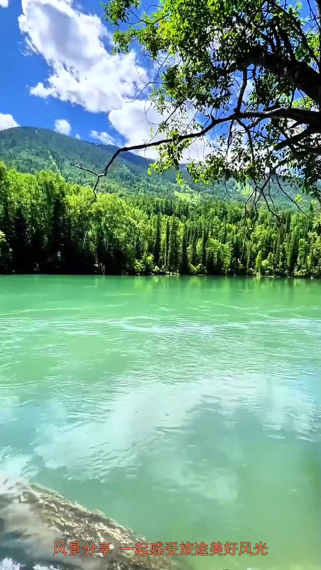 夏日旅行,江河湖海,天地万物,心不在其外,而融合一致,非忧非