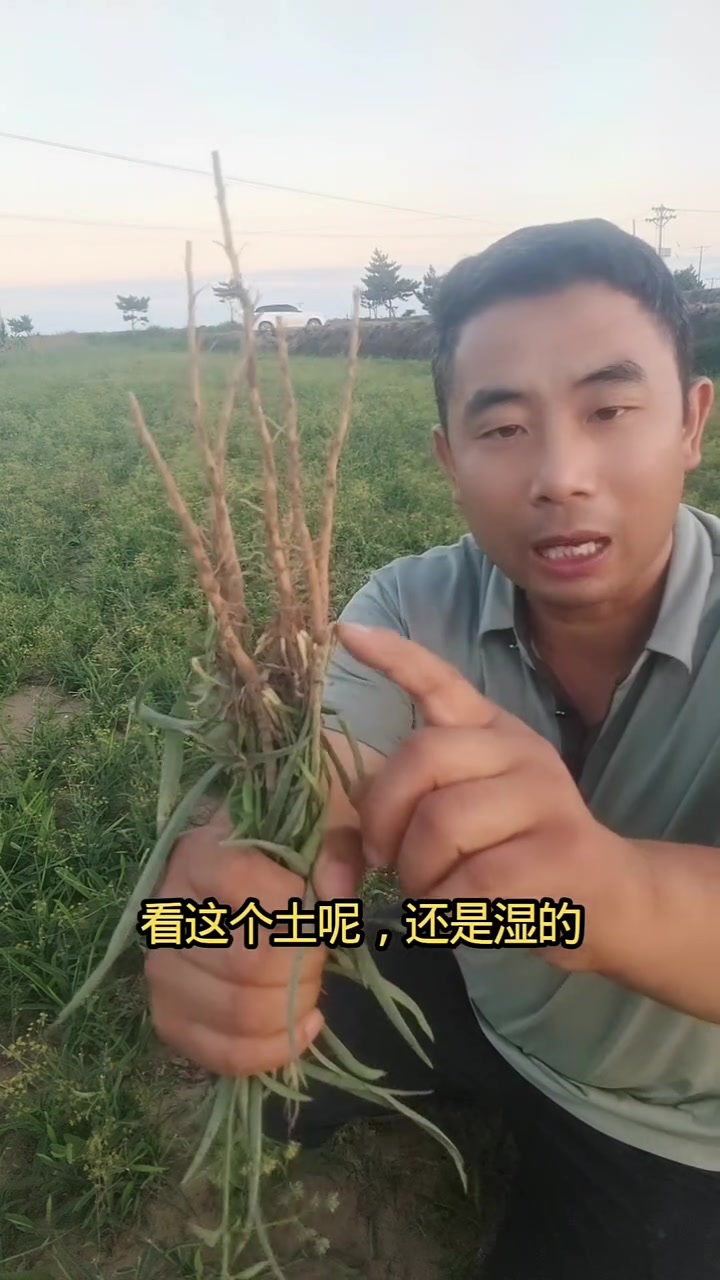一亩地赚十万是真的吗(一亩地赚十万是真的吗知乎)