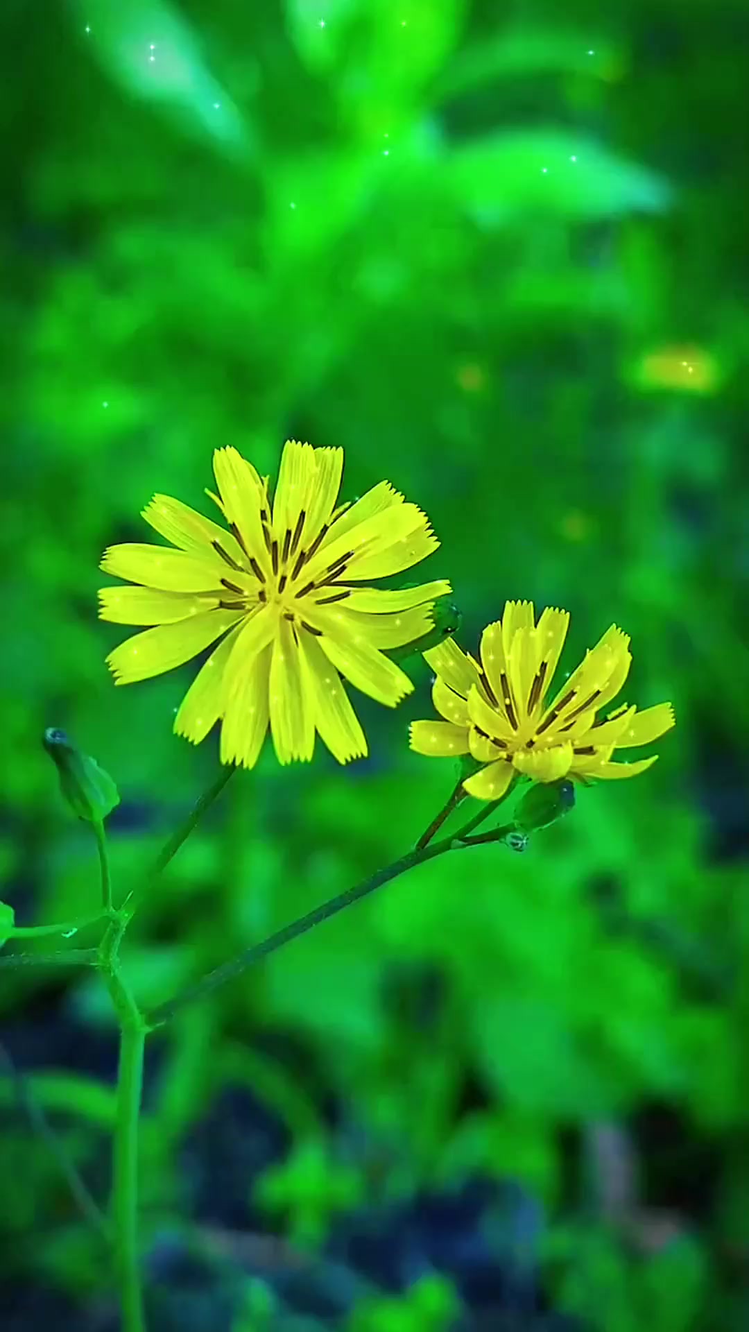 夏季旅游,喜欢这些细碎的小美好,没有太多惊喜,但很纯粹,清晰