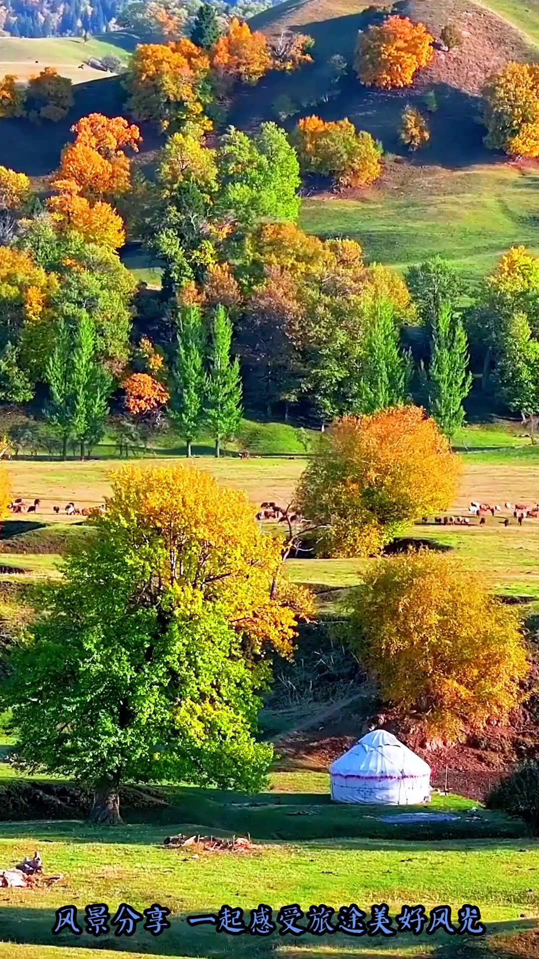 夏季旅游,如果说秋天是繁华的世界,那秋天的那拉提盘龙谷便是落