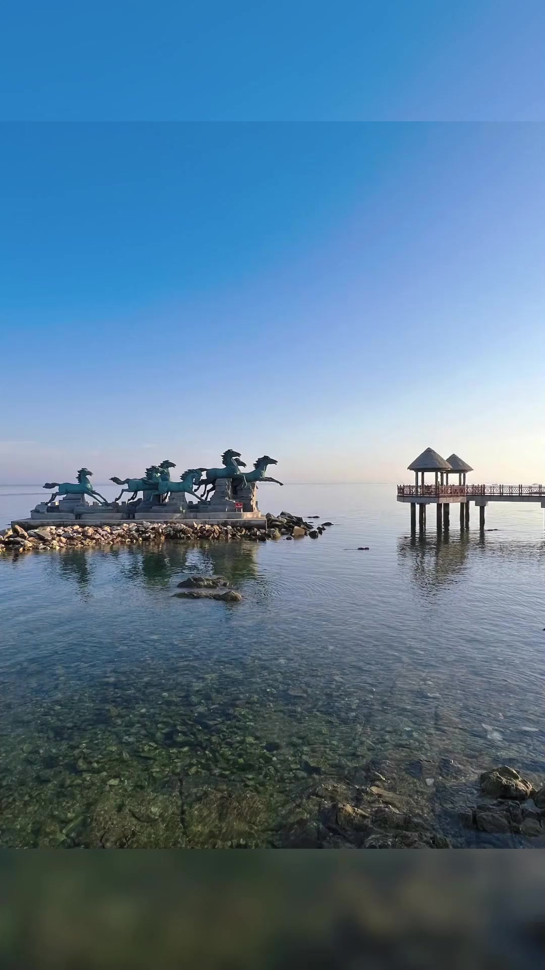 夏季旅游,清晨养马岛海边随拍旅游推荐