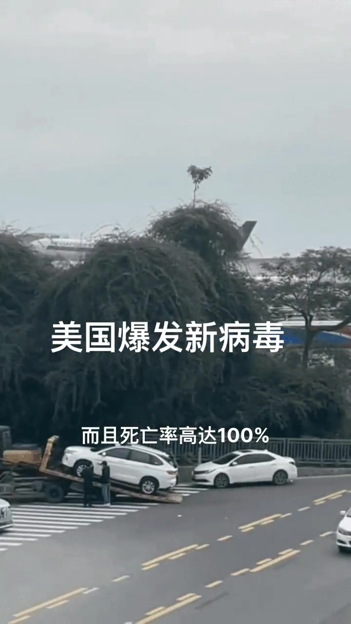 美国新病毒爆发传染性强死亡率100%致26万感染