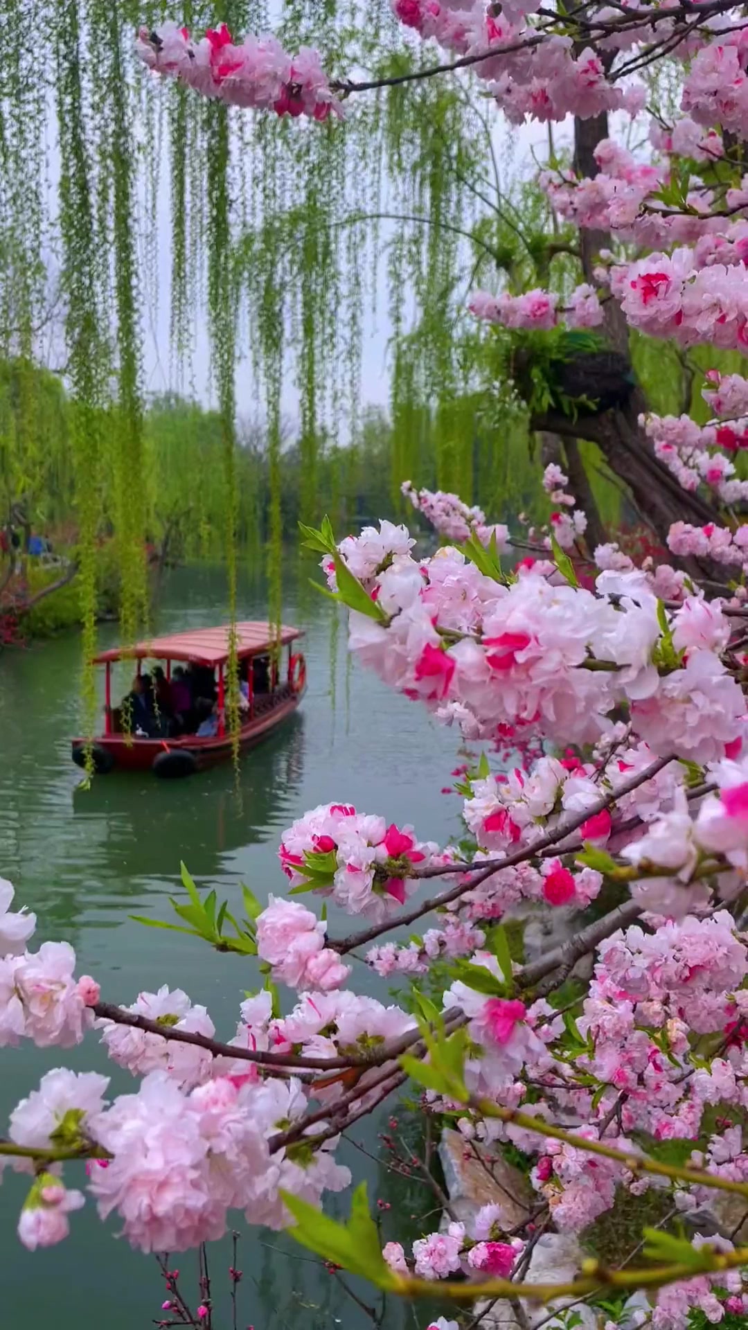 早秋旅游,桃红柳绿又一年,满天春色最宜人,旅行推荐