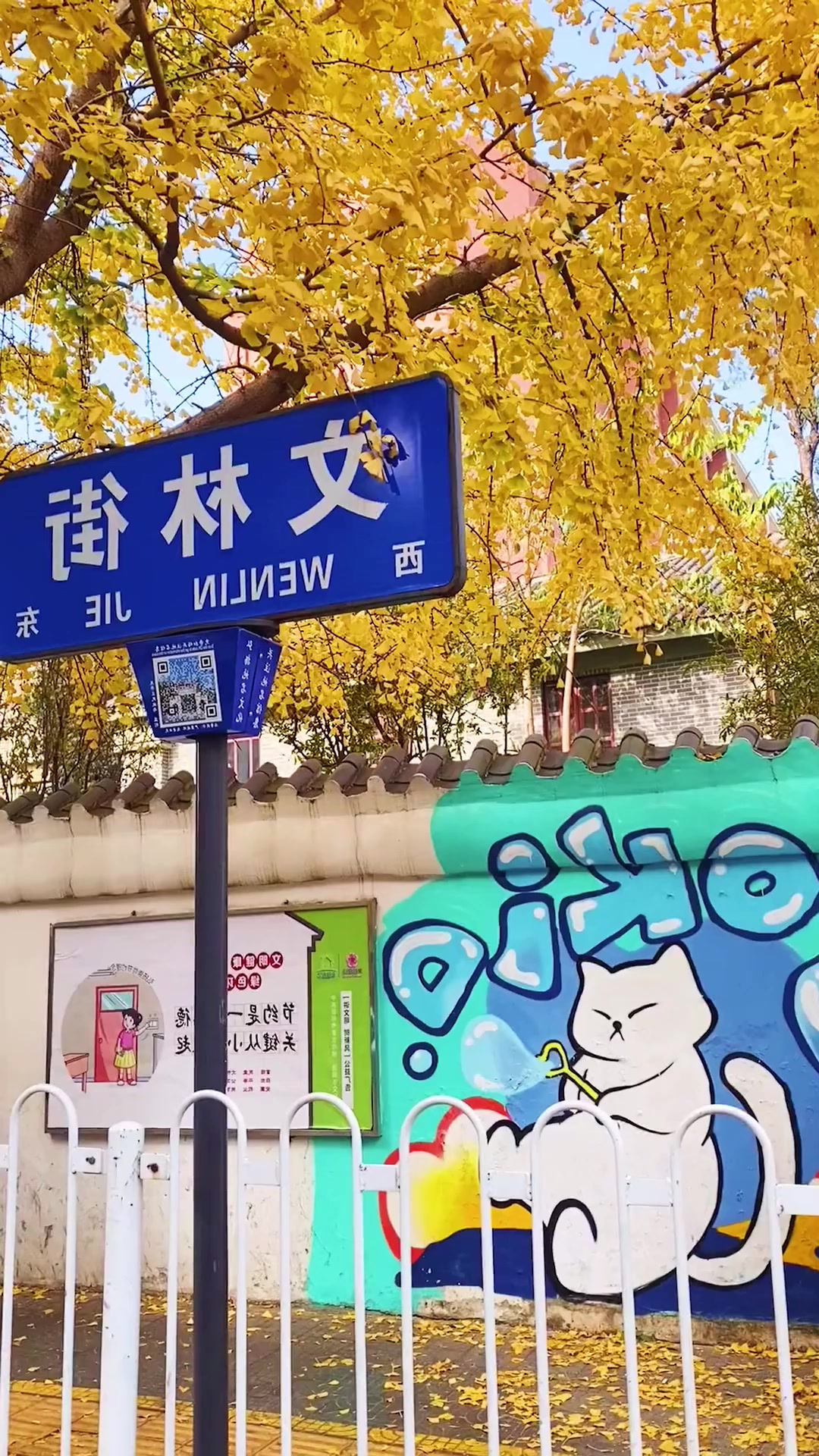 早秋旅游,文林街几公里银杏观景大道,满地金黄,等你来踩,旅行