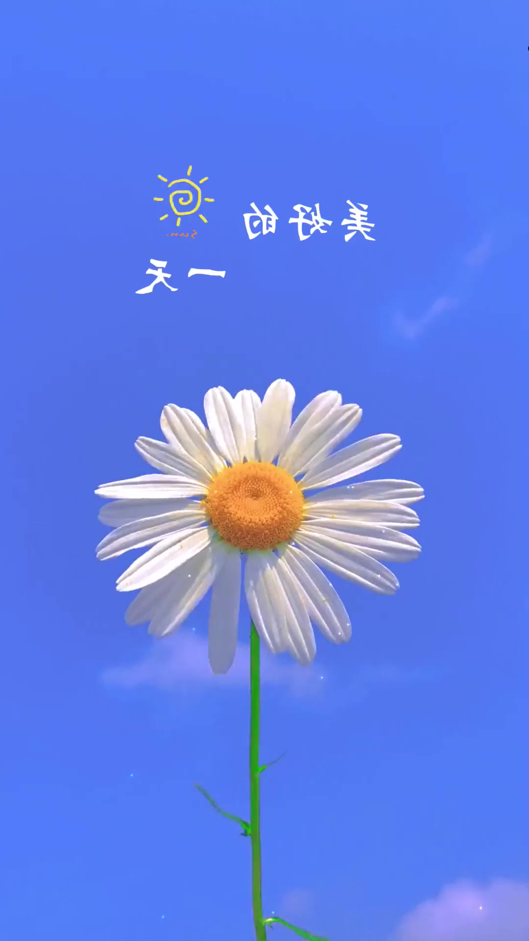 早秋旅游,早上好,愿你心情像花儿一样绽放美丽,生活像彩虹一样