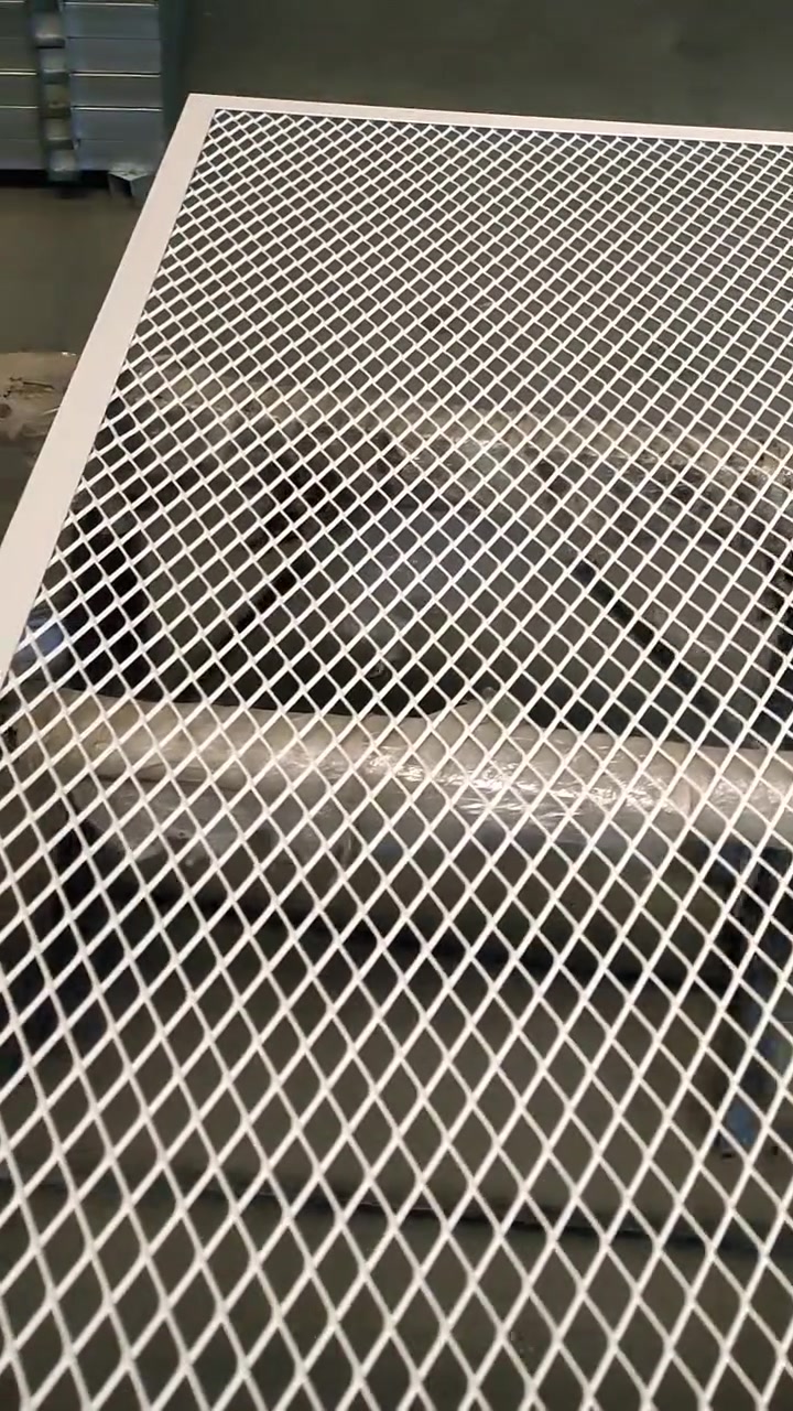 安平丝网：引领现代防护新时代