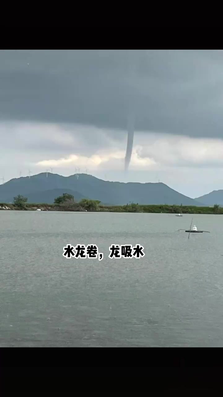 阳江阳西天气预报