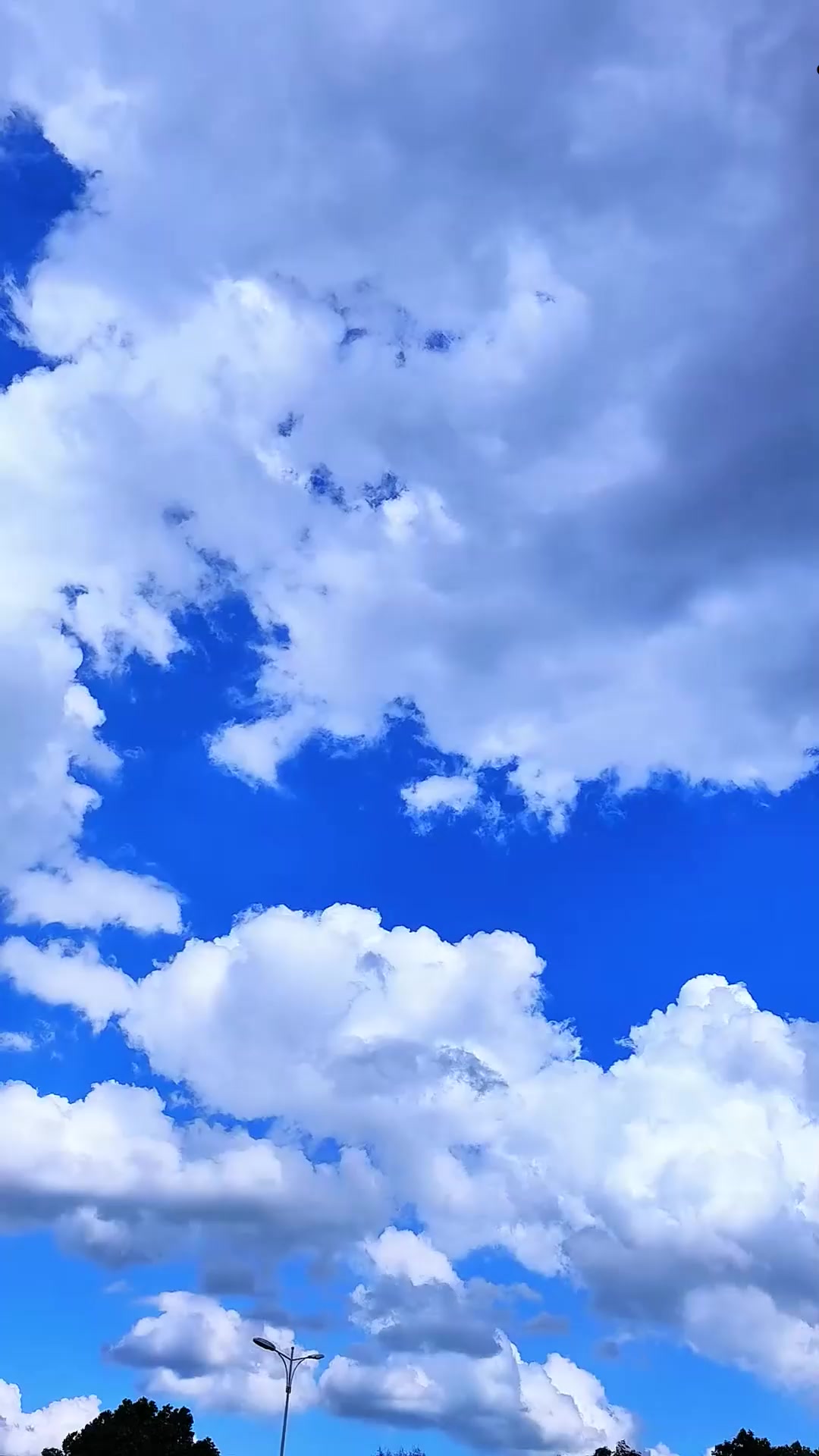 早秋旅行,不许作弊,不许网上