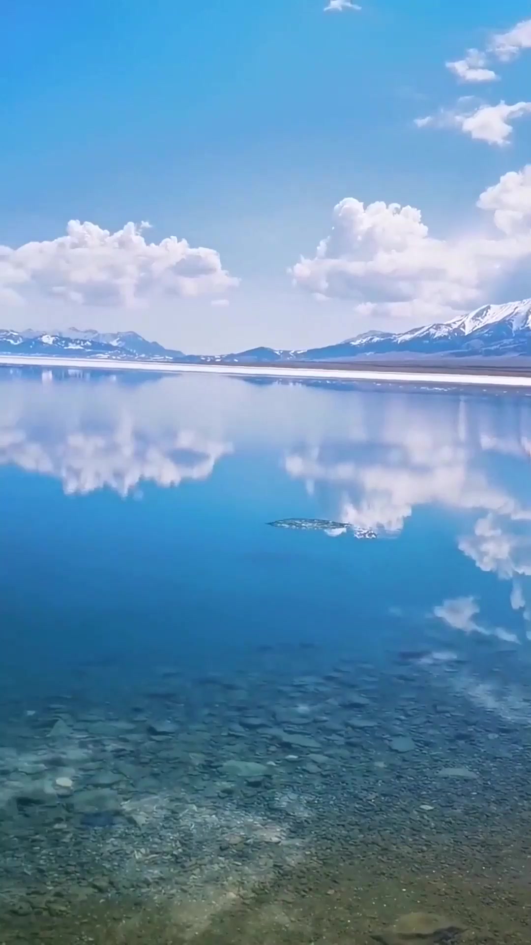 赛里木湖拍照秋季，旅游帮手