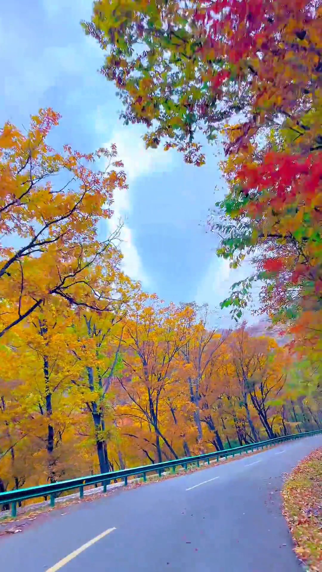 东北秋天呈现万山红遍,层林尽染的绝美秋色