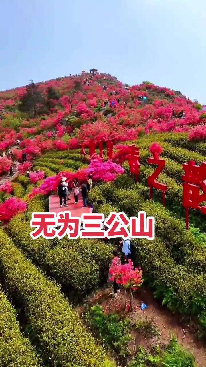 安徽无为三公山美景如画,蓝天红花空气都飘香