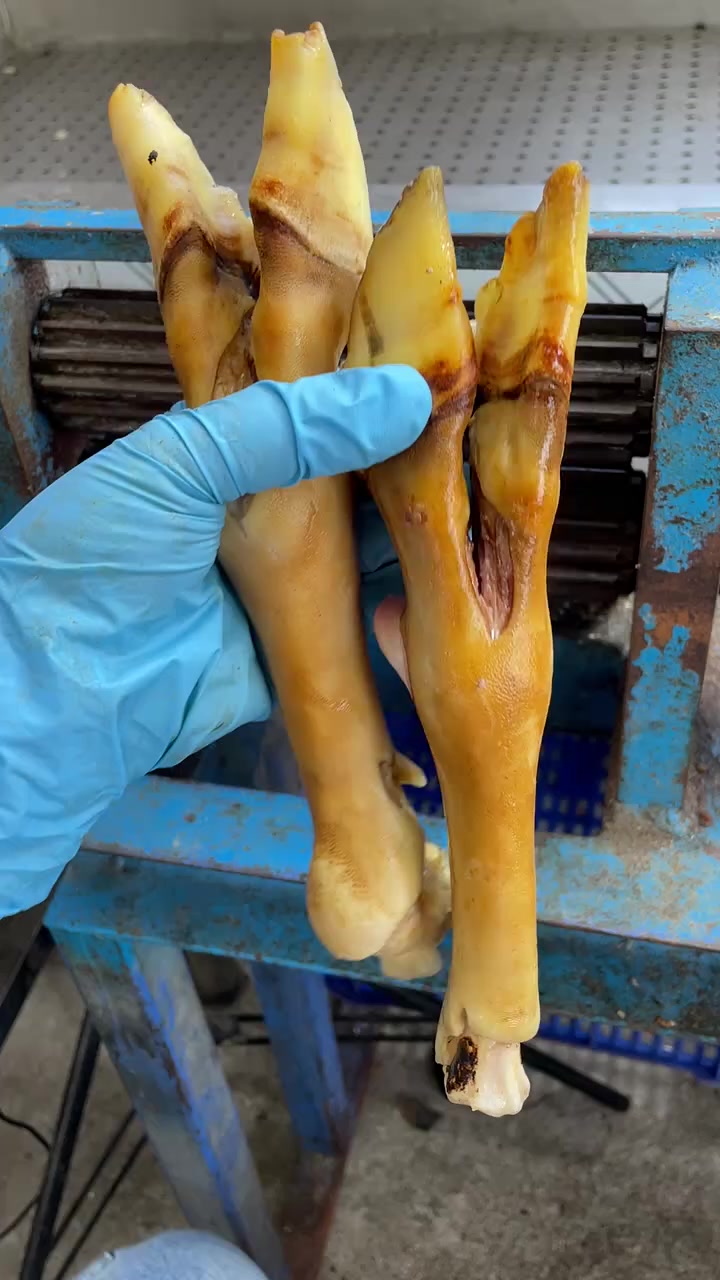 羊蹄子去壳加工