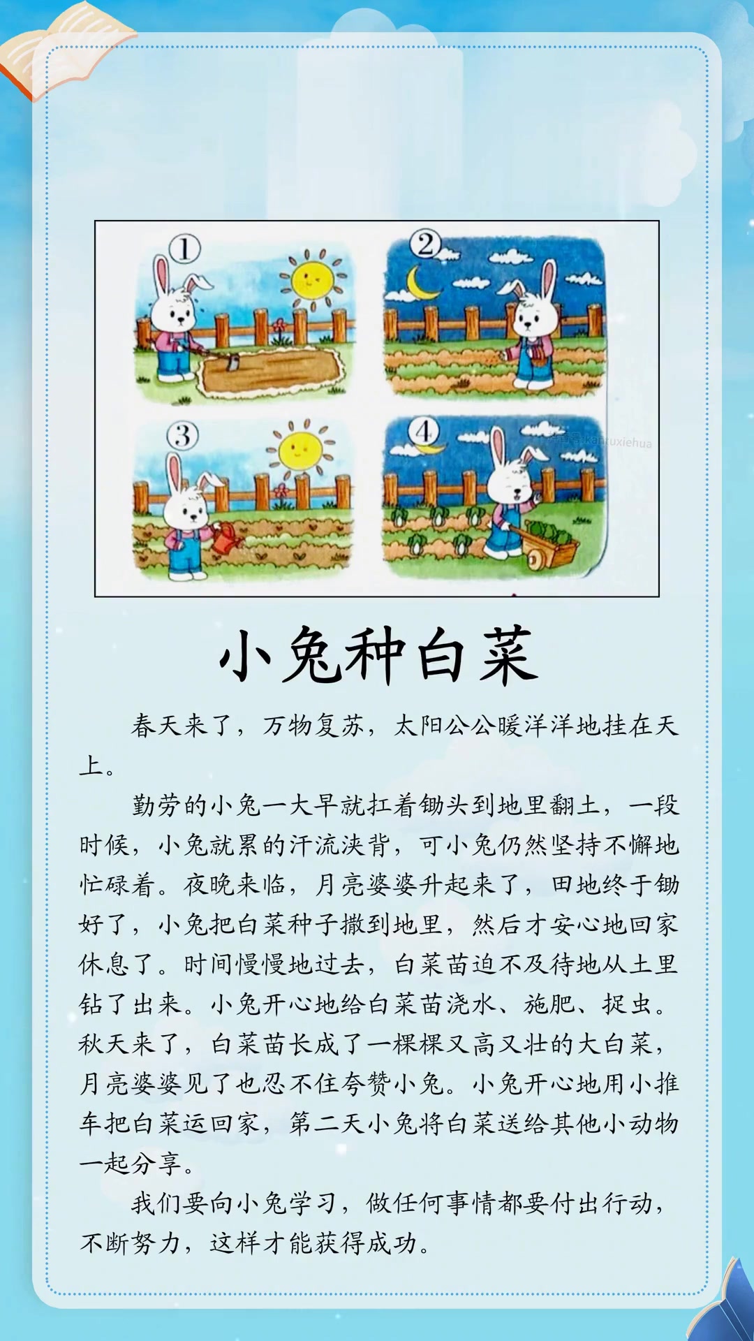 二年级看图写话范文《小兔种白菜》